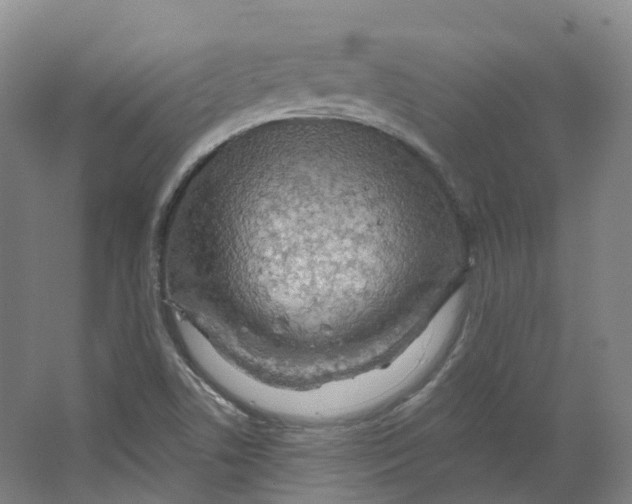 X0000066121506200603311522