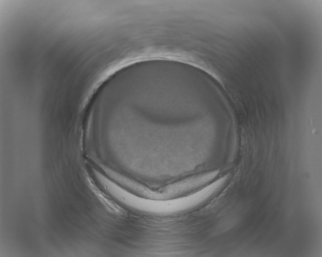 X0000066121507200603311522