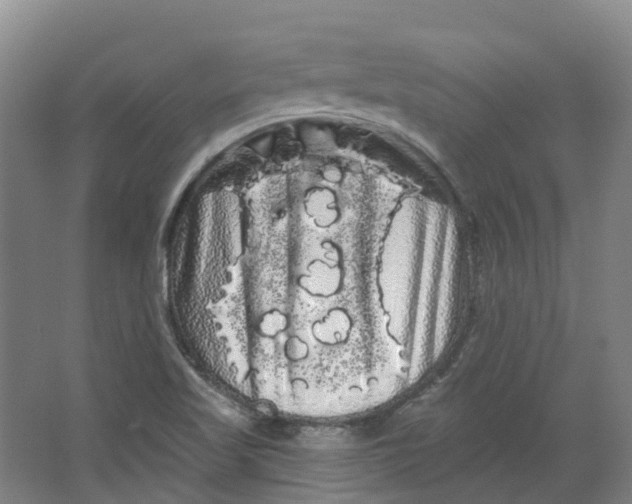 X0000066121509200603311522