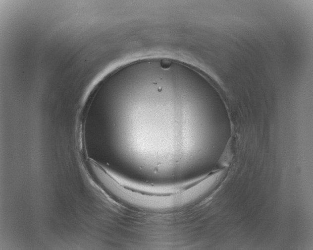 X0000066121510200603311522