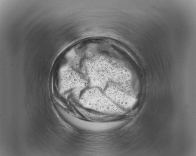 X0000066121513200603311522