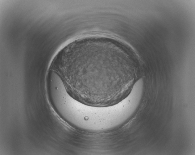 X0000066121514200603311522