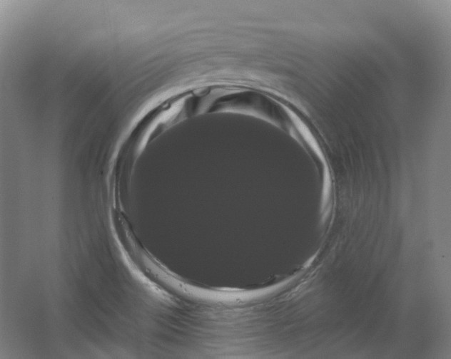 X0000066121515200603311522