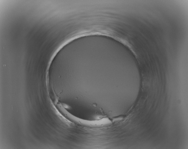 X0000066121516200603311522