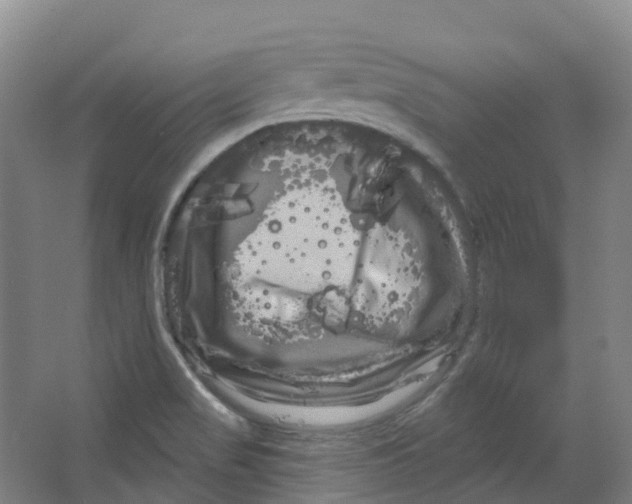 X0000066121517200603311522