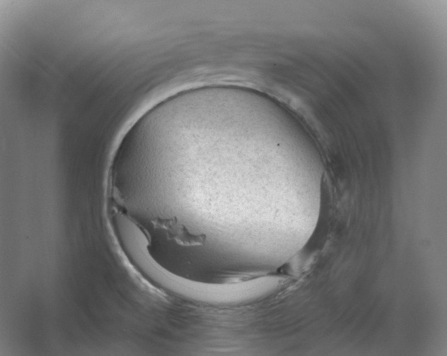 X0000066121520200603311522