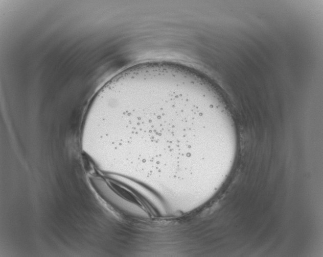 X0000066121521200603311522