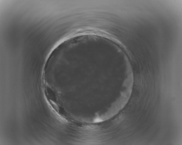 X0000066121522200603311522