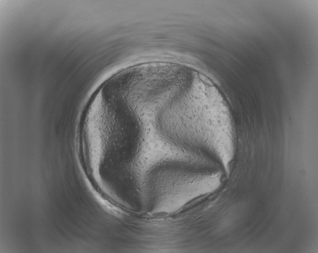 X0000066121523200603311522