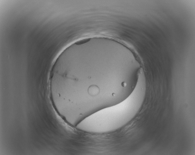 X0000066121524200603311522