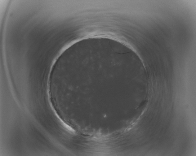 X0000066121525200603311522