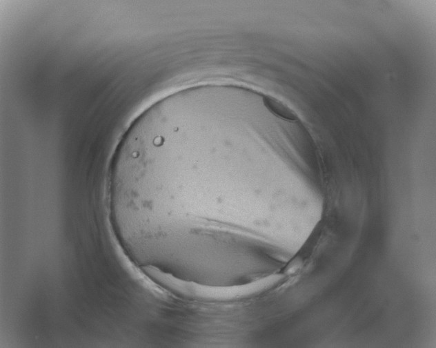 X0000066121526200603311522