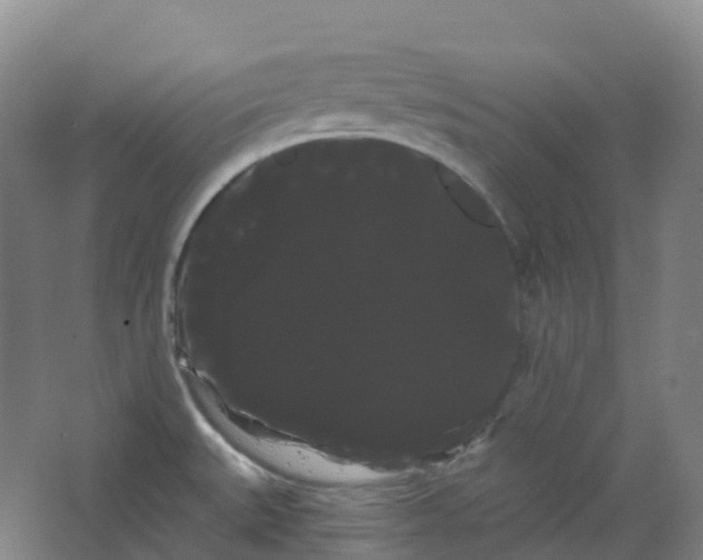 X0000066121527200603311522