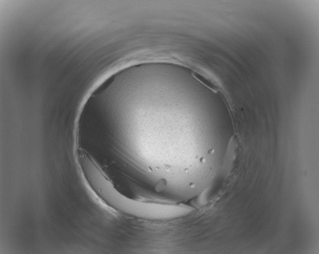 X0000066121528200603311522