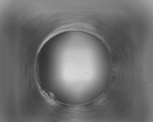 X0000066121530200603311522