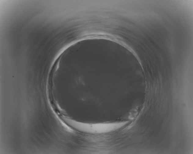 X0000066121533200603311522