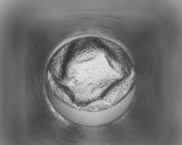 X0000066121534200603311522