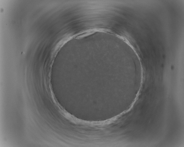 X0000066120001200604071924