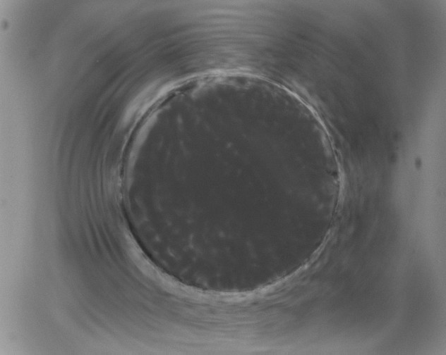 X0000066120002200604071924