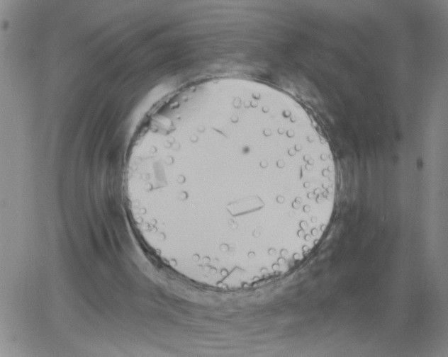 X0000066120003200604071923