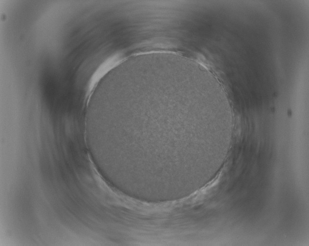 X0000066120004200604071923