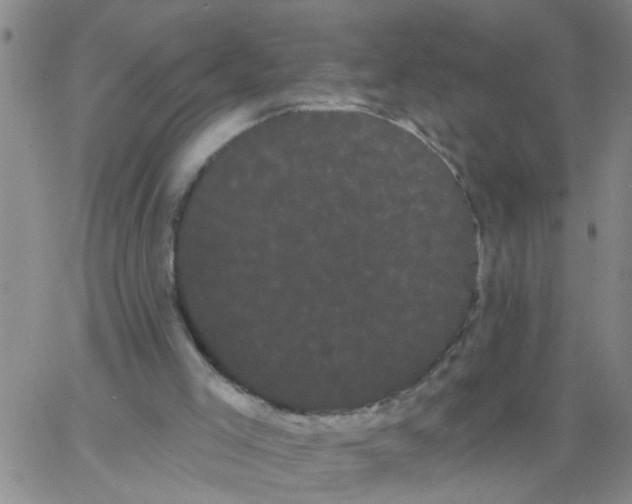 X0000066120005200604071923