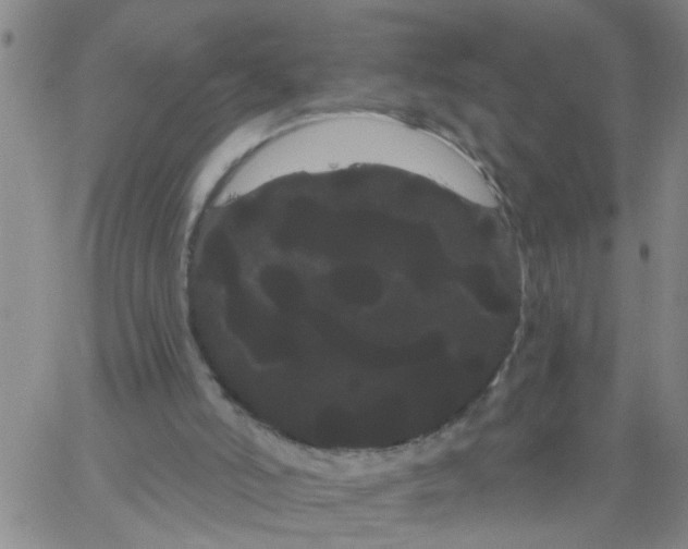 X0000066120006200604071923