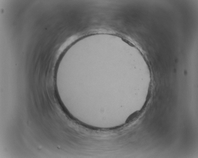 X0000066120008200604071923