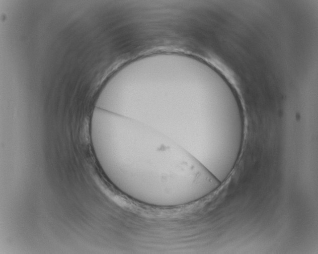 X0000066120009200604071923