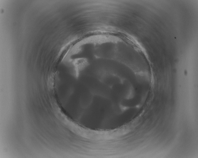 X0000066120010200604071923