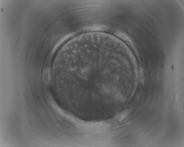 X0000066120012200604071923