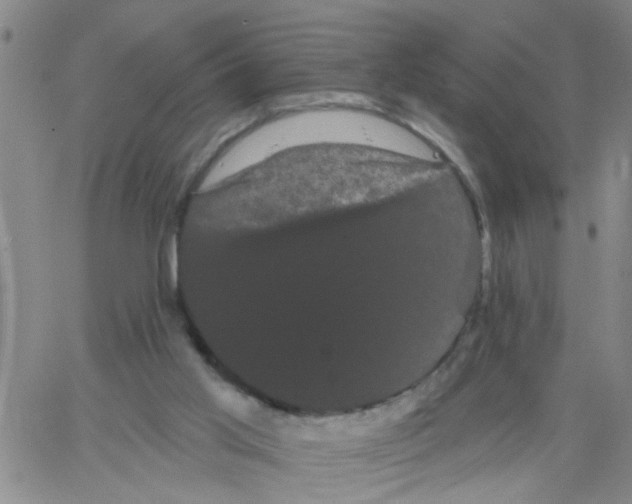 X0000066120013200604071923