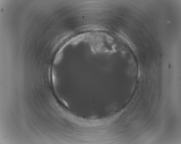 X0000066120014200604071923