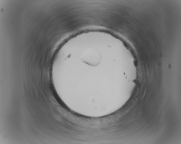 X0000066120015200604071923