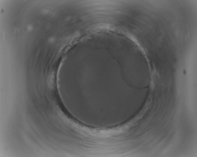 X0000066120018200604071923