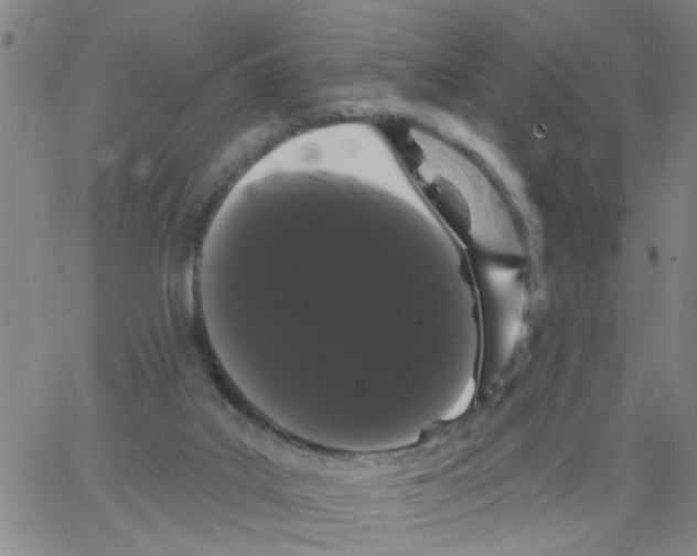 X0000066120019200604071923