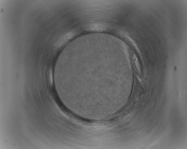 X0000066120020200604071923