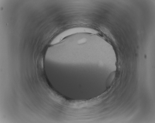 X0000066120021200604071923