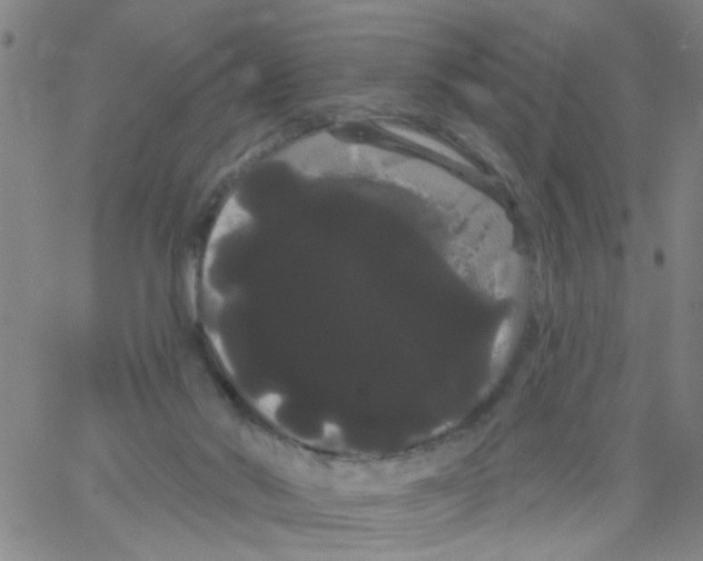 X0000066120022200604071923