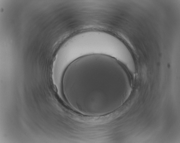 X0000066120023200604071923