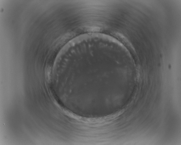 X0000066120026200604071923