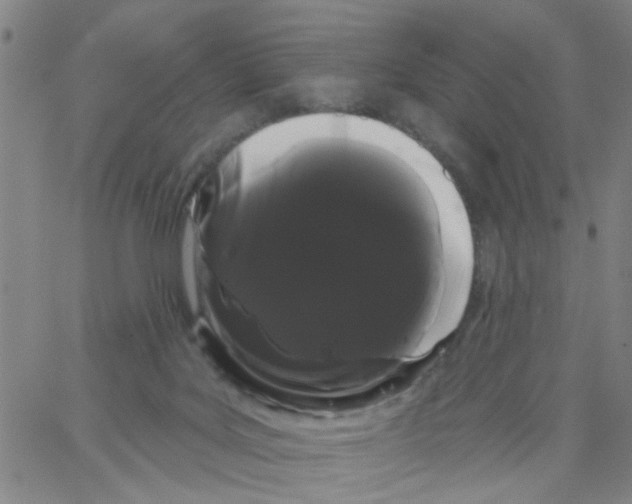 X0000066120027200604071923