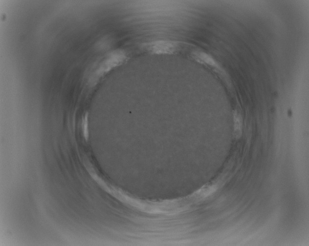 X0000066120028200604071923