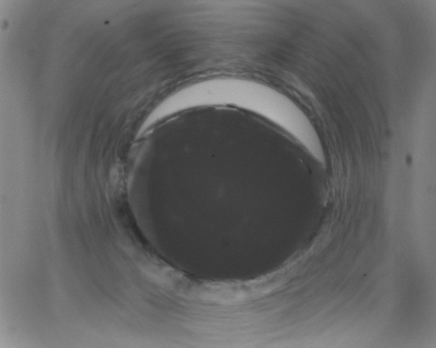 X0000066120029200604071923