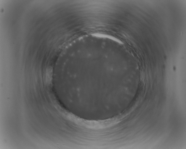 X0000066120030200604071923