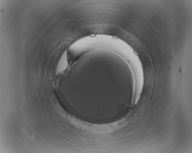 X0000066120031200604071923