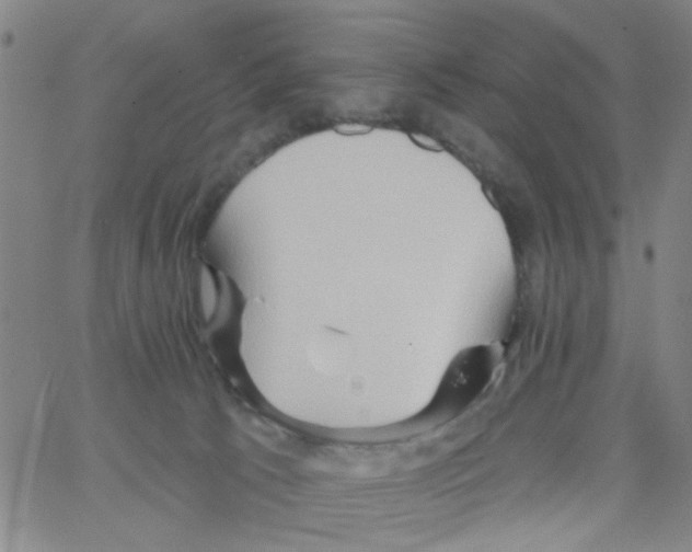 X0000066120033200604071923