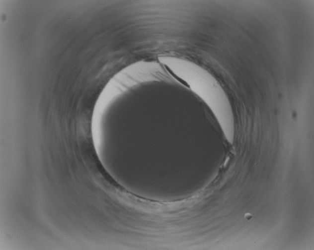 X0000066120035200604071923