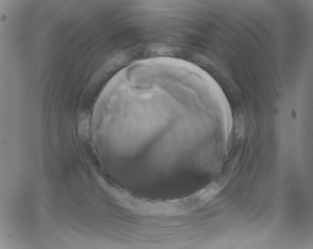 X0000066120036200604071923