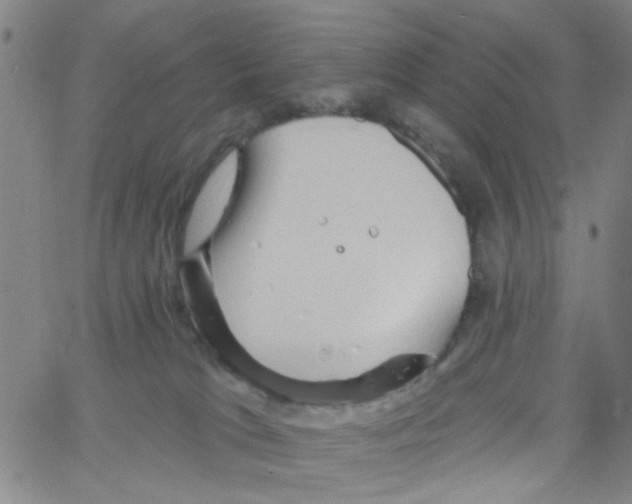 X0000066120037200604071923